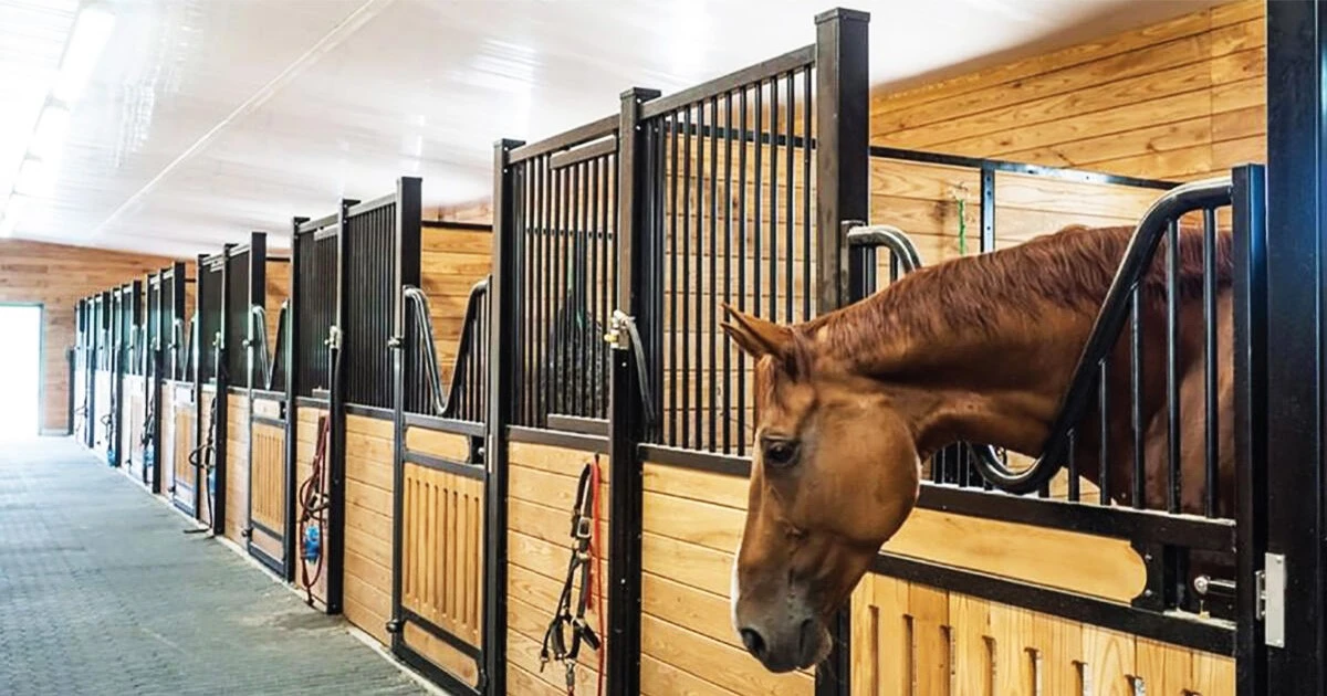 horse stable panels for